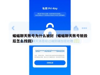 蝙蝠聊天账号为什么被封（蝙蝠聊天账号销毁后怎么找回）