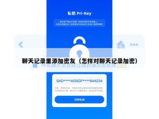 聊天记录里添加密友（怎样对聊天记录加密）