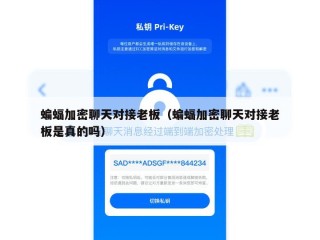 蝙蝠加密聊天对接老板（蝙蝠加密聊天对接老板是真的吗）