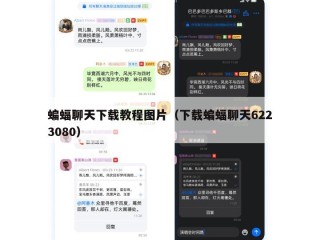蝙蝠聊天下载教程图片（下载蝙蝠聊天6223080）