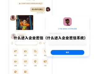 什么进入企业密信（什么进入企业密信系统）