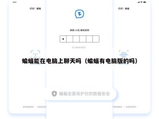 蝙蝠能在电脑上聊天吗（蝙蝠有电脑版的吗）