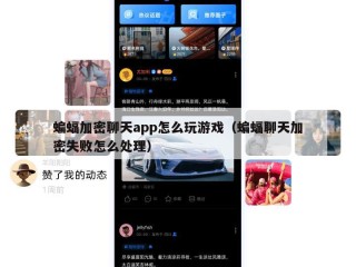 蝙蝠加密聊天app怎么玩游戏（蝙蝠聊天加密失败怎么处理）