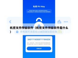 机密文件传输软件（机密文件传输软件是什么）