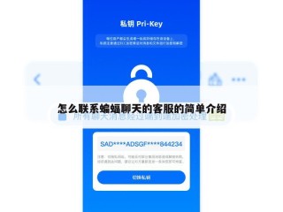 怎么联系蝙蝠聊天的客服的简单介绍