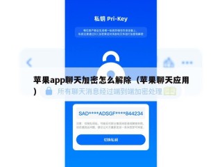 苹果app聊天加密怎么解除（苹果聊天应用）
