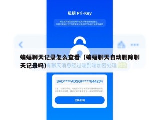 蝙蝠聊天记录怎么查看（蝙蝠聊天自动删除聊天记录吗）