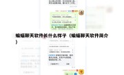 蝙蝠聊天软件长什么样子（蝙蝠聊天软件简介）