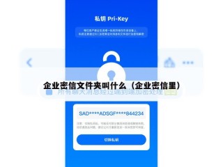 企业密信文件夹叫什么（企业密信里）