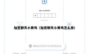 加密聊天小黄鸡（加密聊天小黄鸡怎么用）