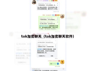 tok加密聊天（tok加密聊天软件）