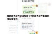 哪种聊天软件可以加密（手机聊天软件有哪些可以加密的）