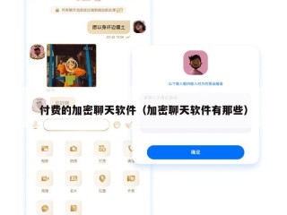 付费的加密聊天软件（加密聊天软件有那些）