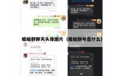 蝙蝠群聊天头像图片（蝙蝠群号是什么）