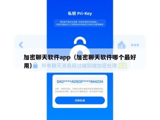 加密聊天软件app（加密聊天软件哪个最好用）
