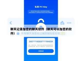 聊天记录加密的聊天软件（聊天可以加密的软件）