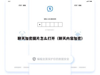 聊天加密图片怎么打开（聊天内容加密）