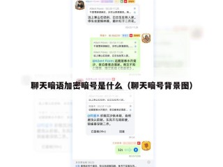 聊天暗语加密暗号是什么（聊天暗号背景图）