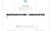 蝙蝠侠微信聊天高清图片（蝙蝠侠微信背景图）