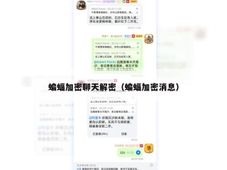 蝙蝠加密聊天解密（蝙蝠加密消息）