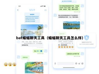 bat蝙蝠聊天工具（蝙蝠聊天工具怎么样）