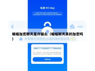 蝙蝠加密聊天是诈骗么（蝙蝠聊天真的加密吗）