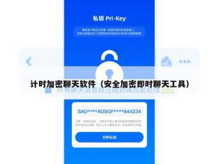 计时加密聊天软件（安全加密即时聊天工具）
