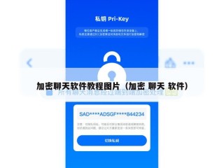 加密聊天软件教程图片（加密 聊天 软件）