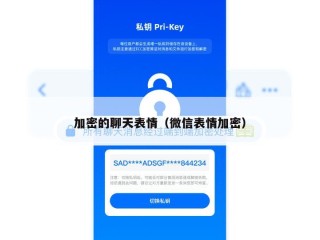 加密的聊天表情（微信表情加密）