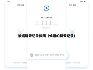 蝙蝠聊天记录截图（蝙蝠的聊天记录）