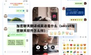加密聊天翻译成英语是什么（secret加密聊天软件怎么样）