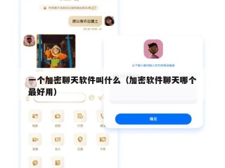 一个加密聊天软件叫什么（加密软件聊天哪个最好用）