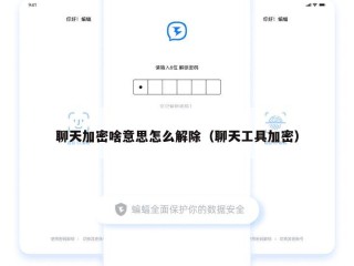 聊天加密啥意思怎么解除（聊天工具加密）