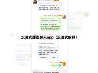 沉浸式加密聊天app（沉浸式解释）