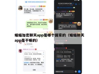 蝙蝠加密聊天app是哪个国家的（蝙蝠聊天app是干嘛的）