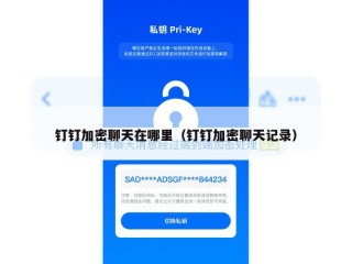 钉钉加密聊天在哪里（钉钉加密聊天记录）