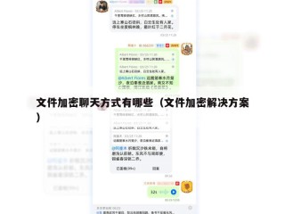 文件加密聊天方式有哪些（文件加密解决方案）