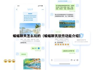蝙蝠聊天怎么玩的（蝙蝠聊天软件功能介绍）