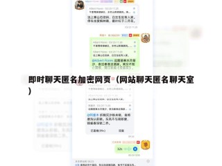 即时聊天匿名加密网页（网站聊天匿名聊天室）