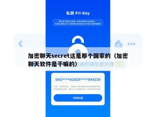 加密聊天secret这是那个国家的（加密聊天软件是干嘛的）