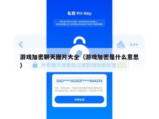 游戏加密聊天图片大全（游戏加密是什么意思）