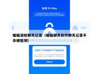 蝙蝠清除聊天记录（蝙蝠聊天软件聊天记录不会被检测）