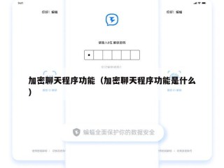 加密聊天程序功能（加密聊天程序功能是什么）