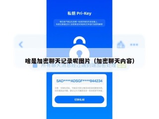 啥是加密聊天记录呢图片（加密聊天内容）