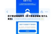 房子里进蝙蝠聊天（房子里面进蝙蝠 有什么寓意）