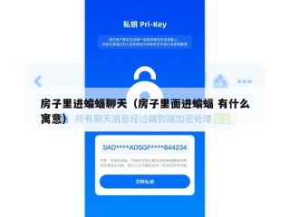 房子里进蝙蝠聊天（房子里面进蝙蝠 有什么寓意）