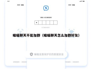 蝙蝠聊天不能加群（蝙蝠聊天怎么加群好友）