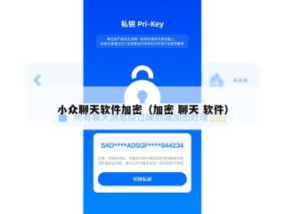 小众聊天软件加密（加密 聊天 软件）