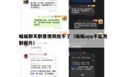 蝙蝠聊天群里视频放不了（蝙蝠app不能发群图片）