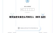 聊天加密文案怎么写吸引人（聊天 加密）
